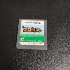 エコリス　ds
