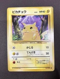 たっくん商店（プロフ必読、熟読‼️）様 リクエスト 2点 まとめ商品