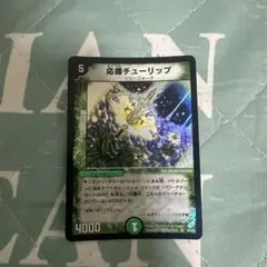 応援チューリップ