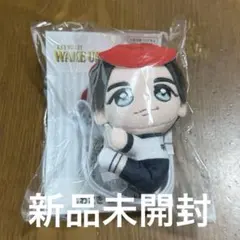 岩﨑大昇　はぴぬい　くっつきてれつ　セット くっつキテレツ ぬい 岩﨑大昇 - メルカリ