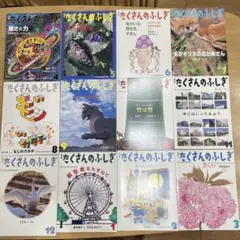 子供用月刊誌「たくさんのふしぎ」（1991年～2000年）59冊です - メルカリ