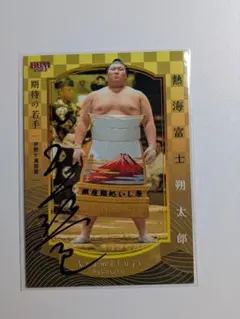 Item thumbnail for item 0ee8b4e2-de51-40db-b647-33df55defb1a