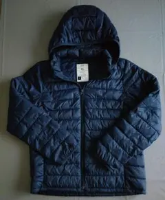 Item thumbnail for item 664fdf53-8d30-4532-9df0-1e7a7ef4e10f