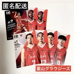 富山グラウジーズ Bリーグカード リアルカード まとめ売り