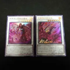 遊戯王】黒薔薇の破滅竜 黒薔薇と荊棘の魔女【2枚セット】 - メルカリ