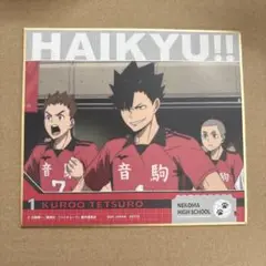 ゴミ捨て場の決戦