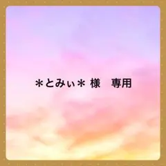 ＊とみぃ＊ 様　専用です