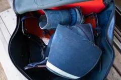 Item thumbnail for item f4ca0753-bb84-425b-9ef0-f59a9d9a233d