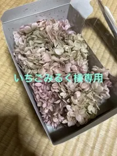 EARTH MATTERS プリザーブドアジサイ ピンク　12箱 Earth mattersプリザーブドフラワー ピラミッドアジサイ ピンクライム
