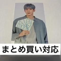 SEVENTEEN セブチ ウォヌ トレカ ケレン