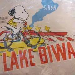 Item thumbnail for item 5a3fe558-0bdb-4e06-9450-2b6527573a26