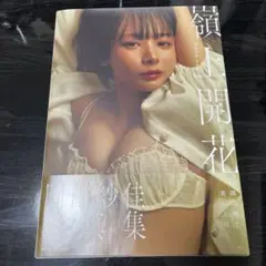 岡田紗佳写真集 嶺上開花