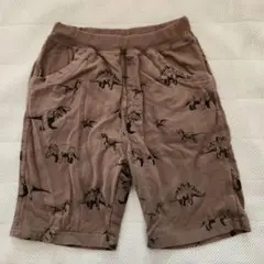 恐竜　ニコフラート　ハーフパンツ　size130