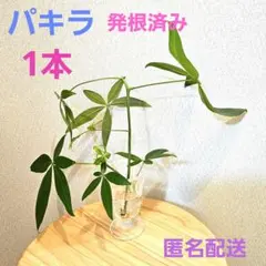 たぬくん様 リクエスト 3点 まとめ商品