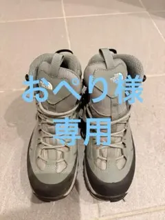 Item thumbnail for item 705fe856-3e1e-4384-a95e-90b75cd1bd89