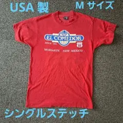 【 USA製】シングルステッチ フルーツオブザルーム Tシャツ