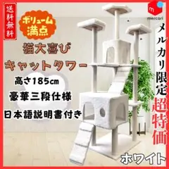 Item thumbnail for item 5b51b950-42d3-4bc7-8b1c-fd5d260503d3