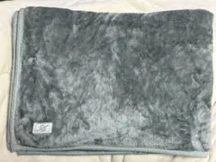 Rm. STANDARD グレー 毛布シングル