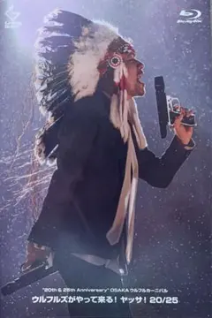 OSAKAウルフルカーニバル ウルフルズがやって来る！ ヤッサ！20/25