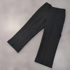 【ほぼ新品】夏用学生ズボン ウエスト70 ブラック 学生服