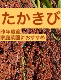 ぽこ様 リクエスト 2点 まとめ商品