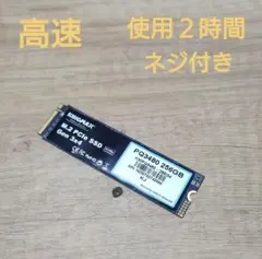 (340)高速SSD 256GB　使用２時間　ネジ付き