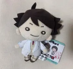 積*木様 新品 ぬいぐるみ 大泉洋 CDJ2025 チームナックス TEAM_N