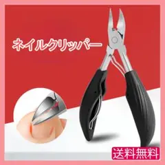 Item thumbnail for item d1c660a3-291f-47bb-bef3-fe936344ccc6