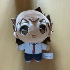 家庭教師ヒットマンリボーン　ぷちっしゅ　ぬいぐるみ　沢田綱吉　ツナ