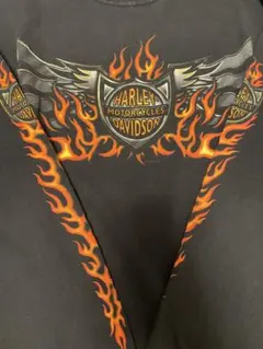 00s ハーレーダビッドソン フレイム ヴィンテージロングTシャツ 古着