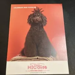 Item thumbnail for item af8b0aa4-3967-4178-a84d-f78e3bf8d21c