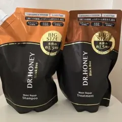 DR.HONEY Black Beeシャンプー・トリートメントセットBIGサイズのサムネイル