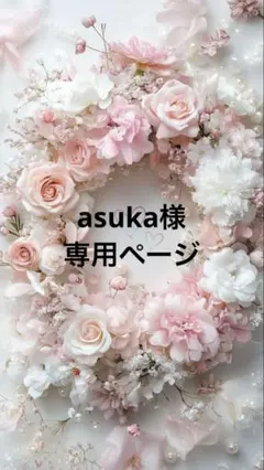 asuka様専用♡ペーパークリップ