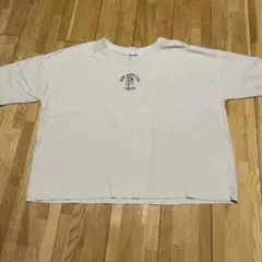 お値下げ［新品未使用］AQUA LEAF Ｔシャツのサムネイル