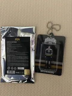 25 SEVENTEEN's HOME ACRYLIC KEYRING ウォヌ