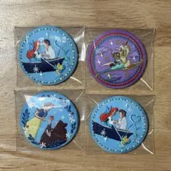 ディズニープリンセス 刺繍缶バッジセット