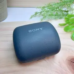 SONY LinkBuds WF-L900ケースのみのサムネイル