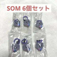 TRUZ めじるしアクセサリー SOM 6個セット