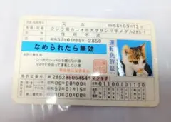 Item thumbnail for item fe804a26-2a82-4067-bf17-e09da355cf5f