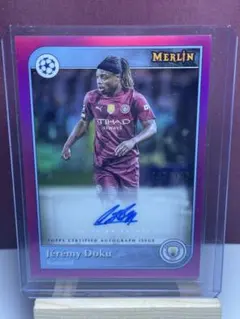 Item thumbnail for item 1a25e370-7f7a-4e2f-a420-71456a420de6