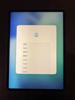 ipad pro 11 第3世代 256gb