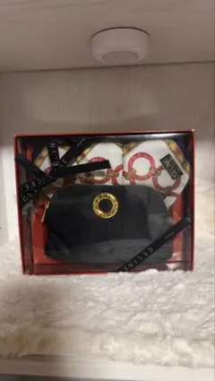 【未使用】CELINE ポーチ　ハンカチセット最終値下げのサムネイル
