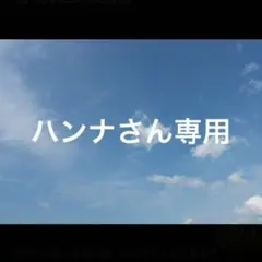 ハンナさん専用 ２点おまとめ
