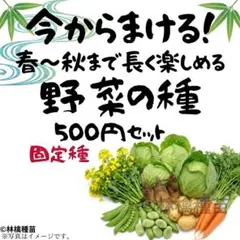 春にまく野菜の種セット 500円【2024年 春】 - メルカリ