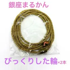 Item thumbnail for item d5bc0ae5-613e-4a30-8a1b-bde39748b22f