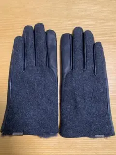 Item thumbnail for item 91c5c5b6-06c3-42a7-9b17-96f2c0323b63