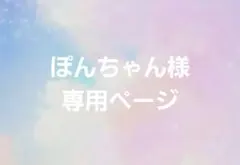 ぽんちゃん様専用ページ