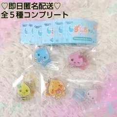 しずくちゃん♡めじるしアクセサリー 全５種コンプリートセット③