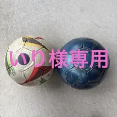 いり様専用　2球セットのサムネイル