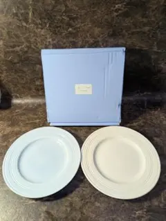 Wedgwood Jasperconranプレート 2枚セットのサムネイル